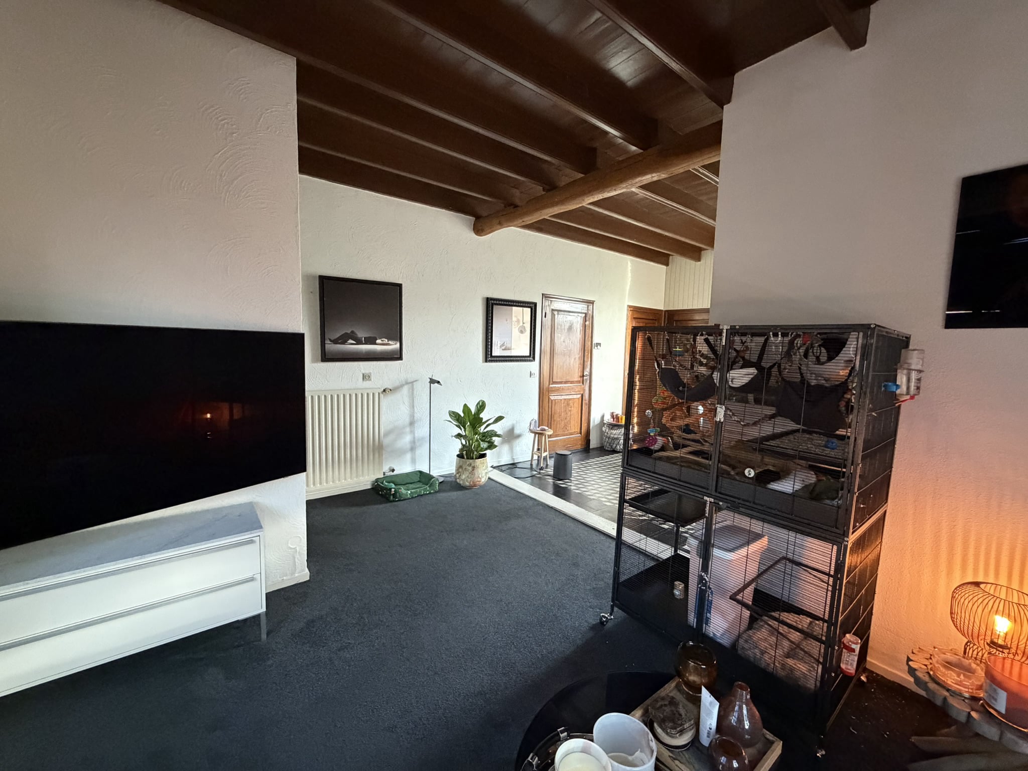 Foto van de woning